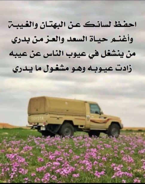 احفط لسانك عن البهتان والغيبة