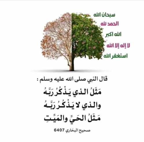 مثل الذي يذكر  ربه والذي لايذكر ربه