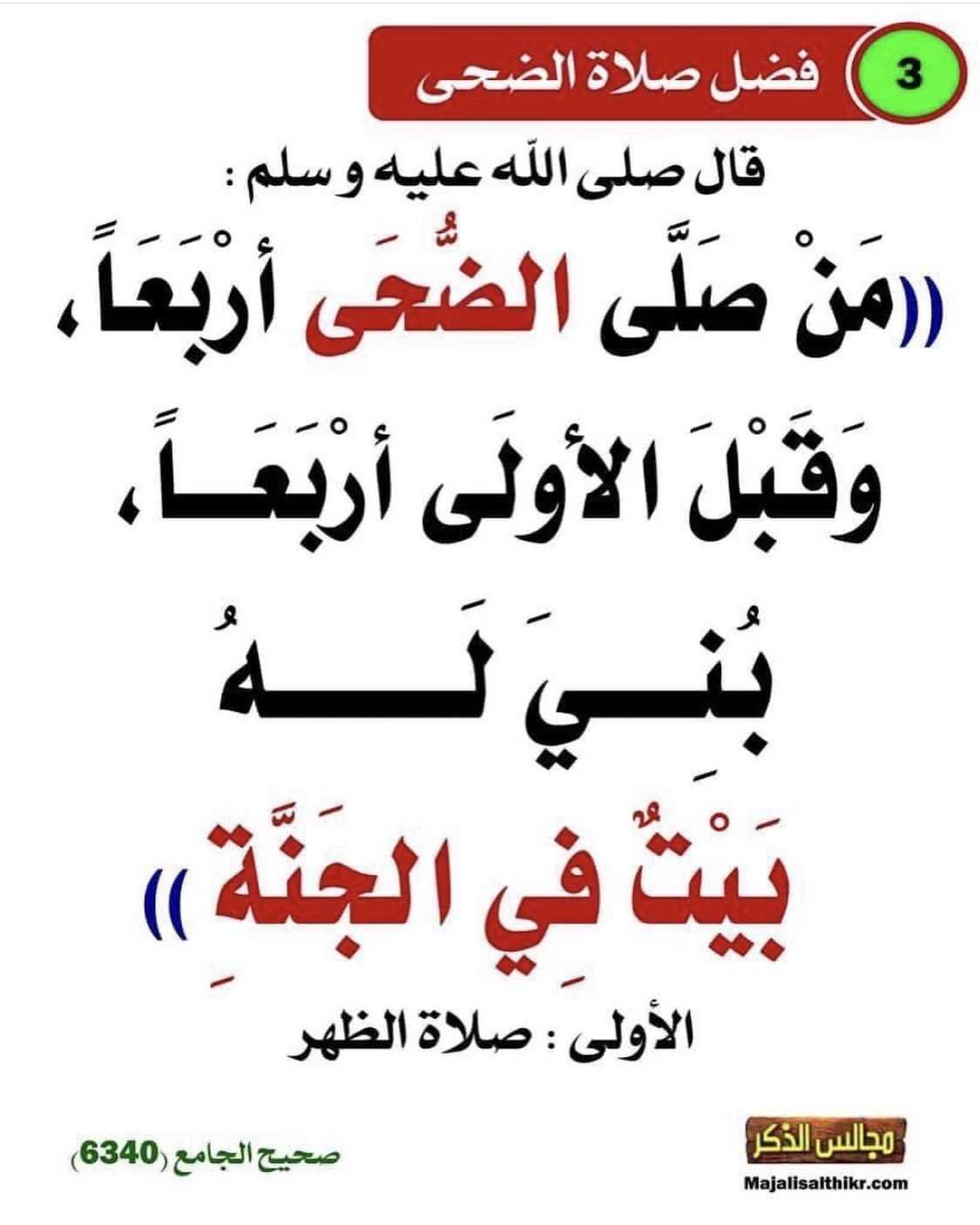 من صلى الضحى اربعا