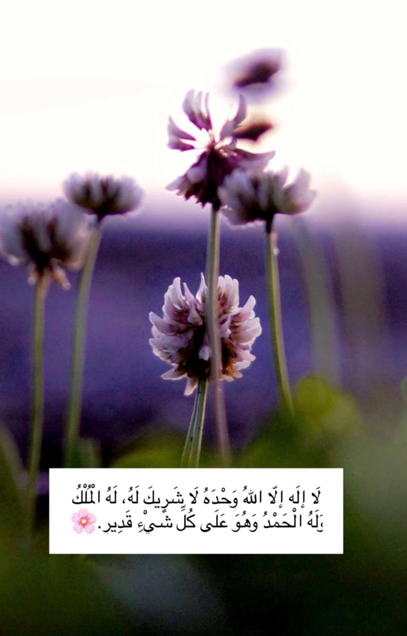 لا اله الا الله وحده لاشريك له