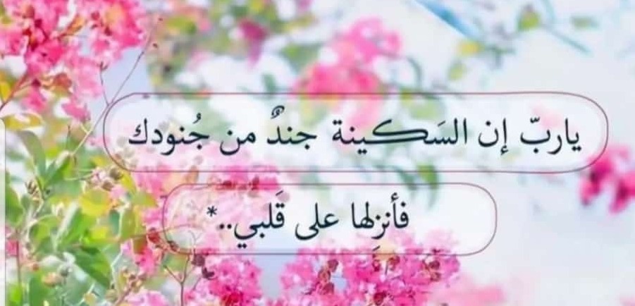 يارب السكينة جند من جنودك فأنزلها على قلبي