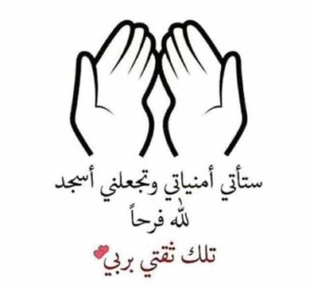 تلك ثقتي بربي