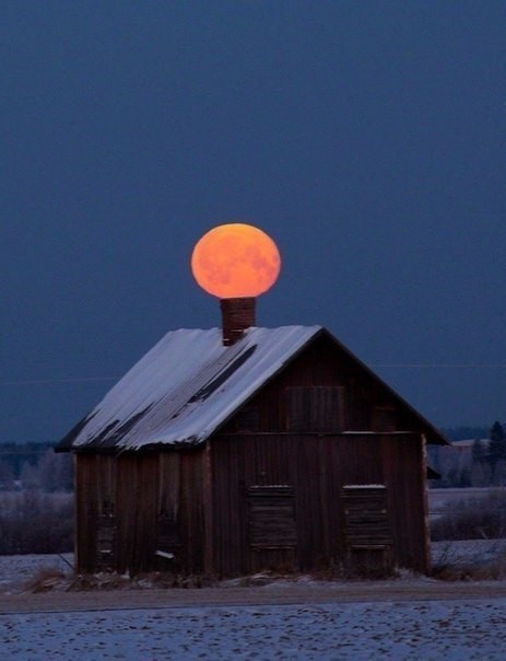 صور منوعة