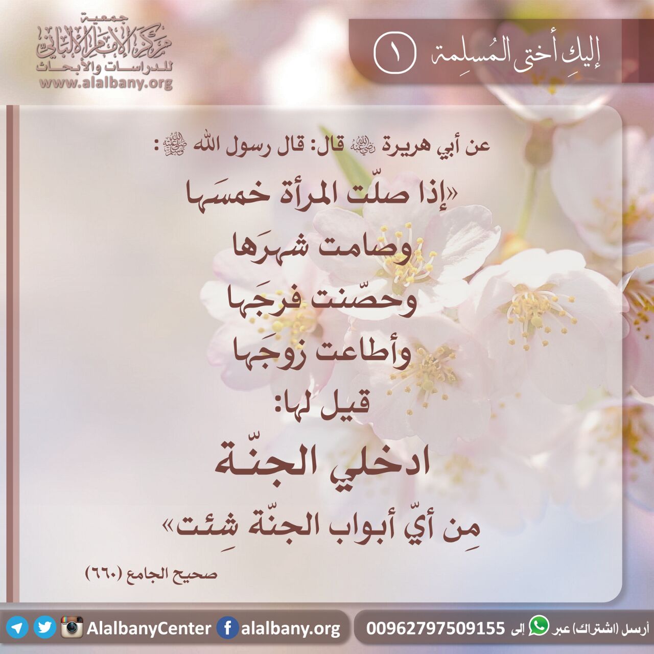 اذا صلت المرأة خمسها وصامت شهرها