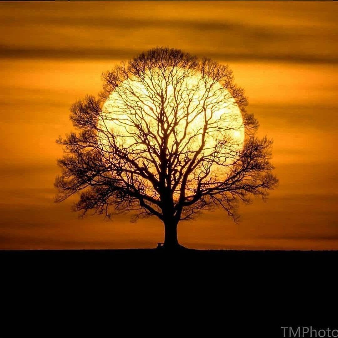 صور منوعة